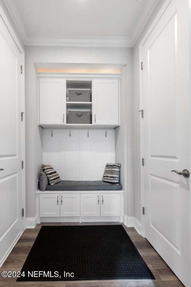 mudroom with ornamental molding and dark wood-type flooring