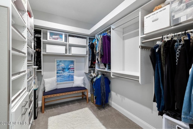 walk in closet with carpet flooring