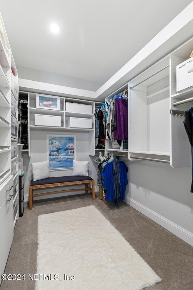 spacious closet featuring carpet flooring