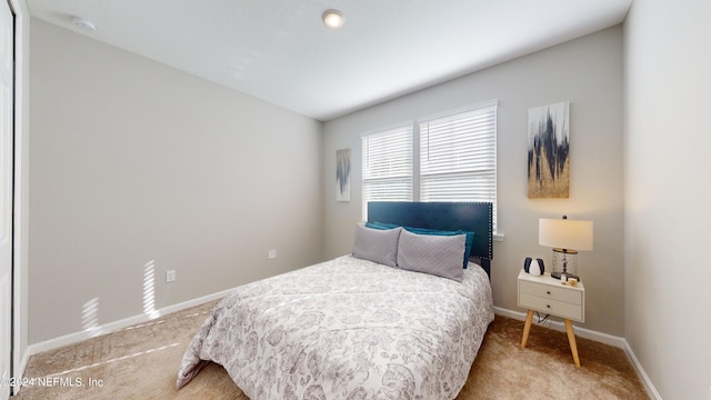 bedroom featuring carpet