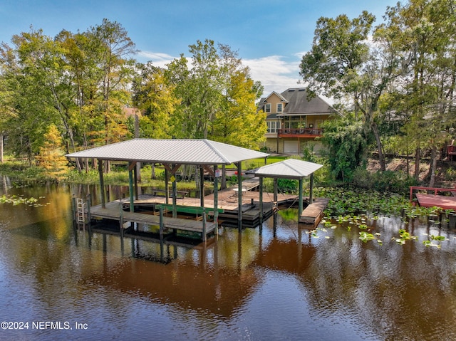 dock area with a water view