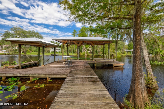 dock area with a water view