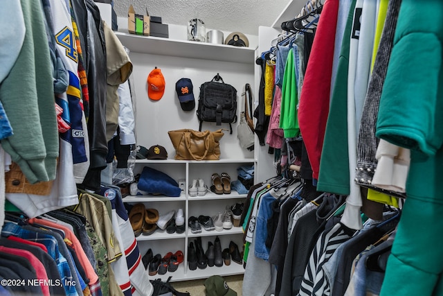 spacious closet with carpet