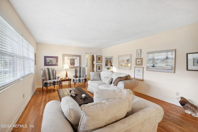 living room featuring light hardwood / wood-style flooring