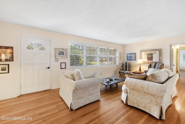 living room with light hardwood / wood-style flooring