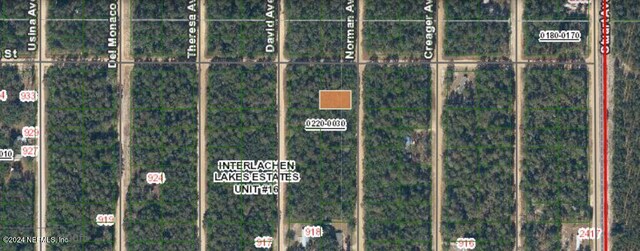 Listing photo 3 for 0 Norman Ave, Interlachen FL 32148