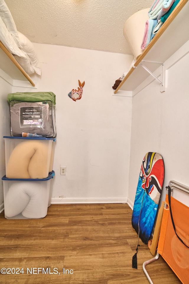 spacious closet featuring wood-type flooring