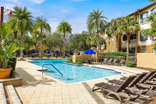 view of pool featuring a patio