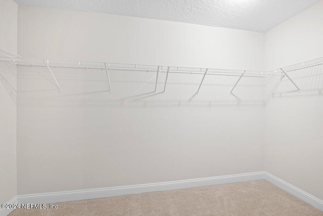 walk in closet featuring carpet