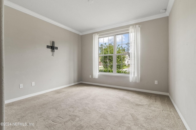 empty room featuring ornamental molding and carpet floors