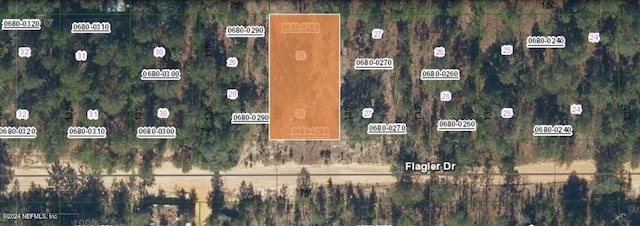 322 Flagler Dr, Interlachen FL, 32148 land for sale