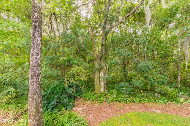 3270 Ricky Dr Unit 1302, Jacksonville, FL 32223 - photo 38