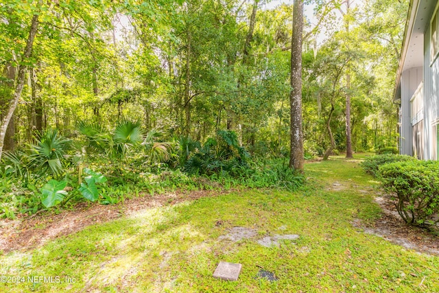 3270 Ricky Dr Unit 1302, Jacksonville, FL 32223 - photo 36