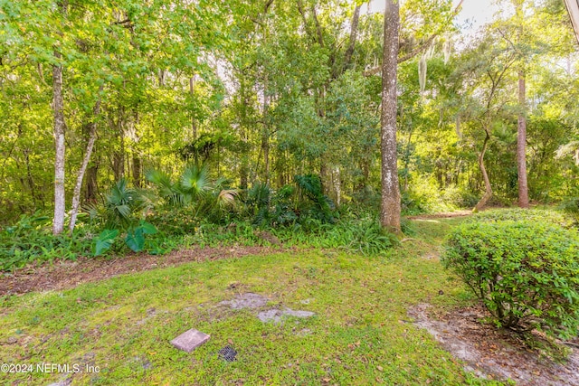 3270 Ricky Dr Unit 1302, Jacksonville, FL 32223 - photo 37