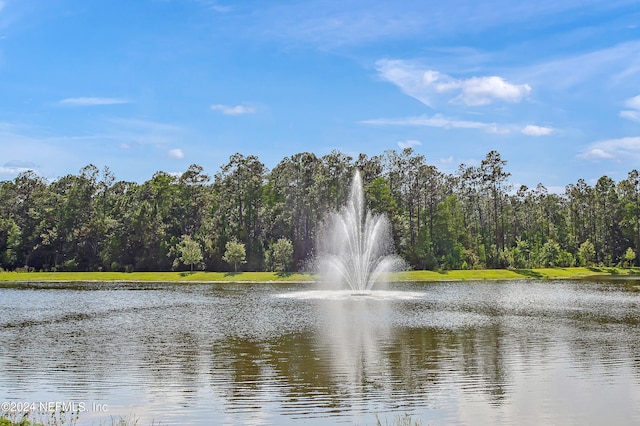 view of water feature