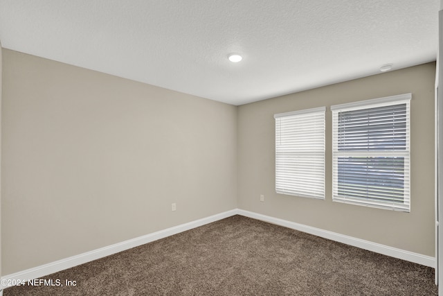 unfurnished room with a textured ceiling and carpet