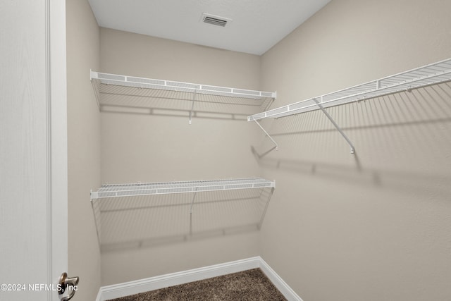 spacious closet featuring carpet