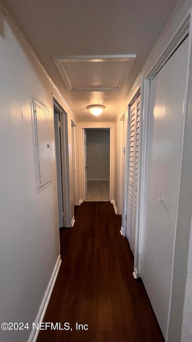 corridor featuring dark hardwood / wood-style floors