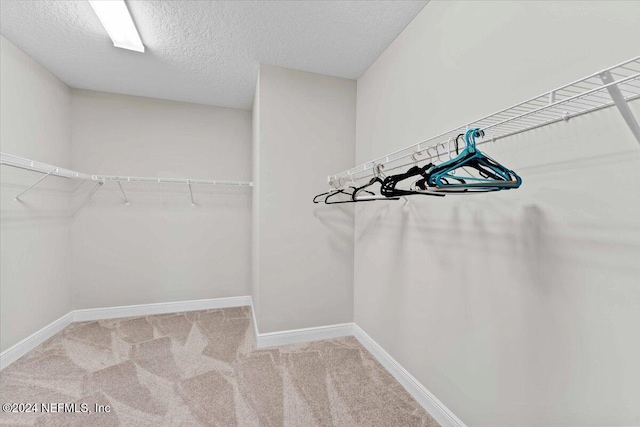 244 Rum Runner Way, Saint Johns, FL 32259 - walk in closet featuring carpet