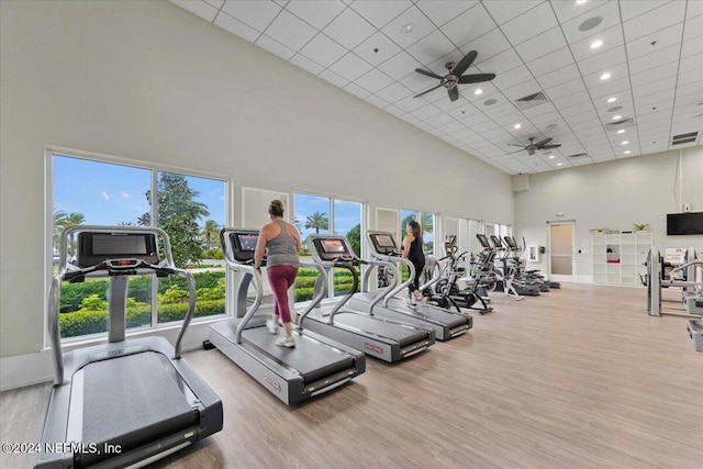 gym with light hardwood / wood-style flooring, a high ceiling, and ceiling fan