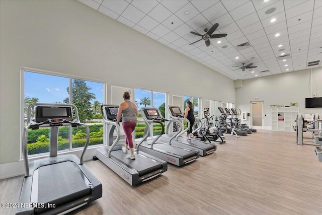 244 Rum Runner Way, Saint Johns, FL 32259 - exercise room with a high ceiling, healthy amount of natural light, ceiling fan, wood finished floors, and recessed lighting