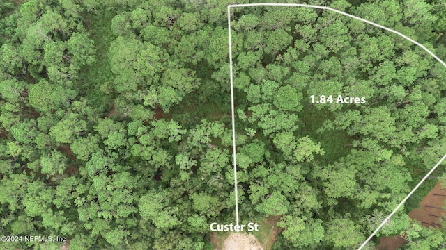 5394 Custer St, Keystone Heights, FL 32656 - photo 4