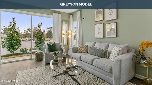 living room featuring wood-type flooring