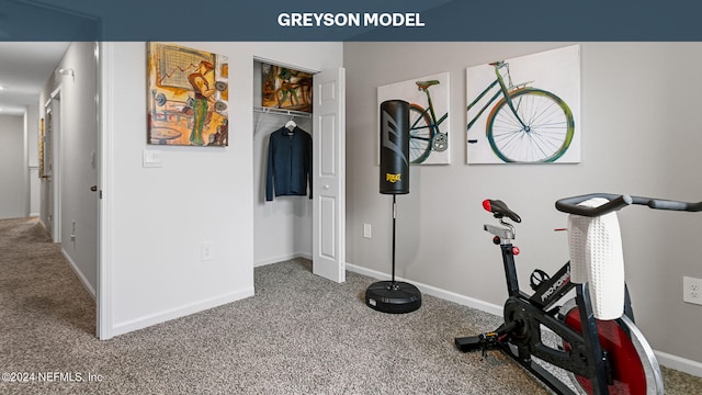 exercise room with carpet flooring