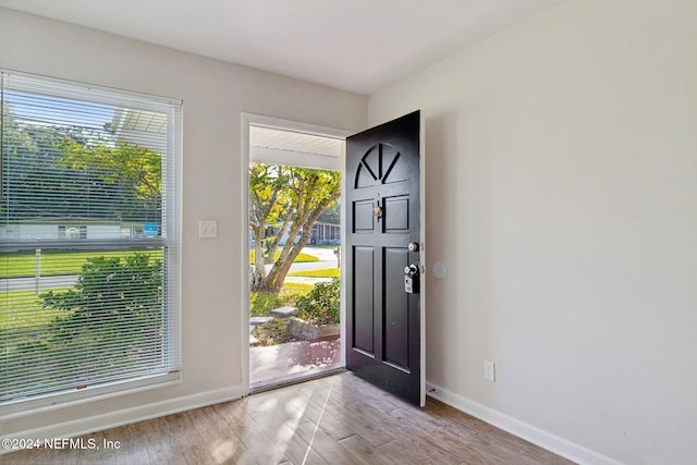 entrance foyer featuring light hardwood / wood-style flooring and plenty of natural light