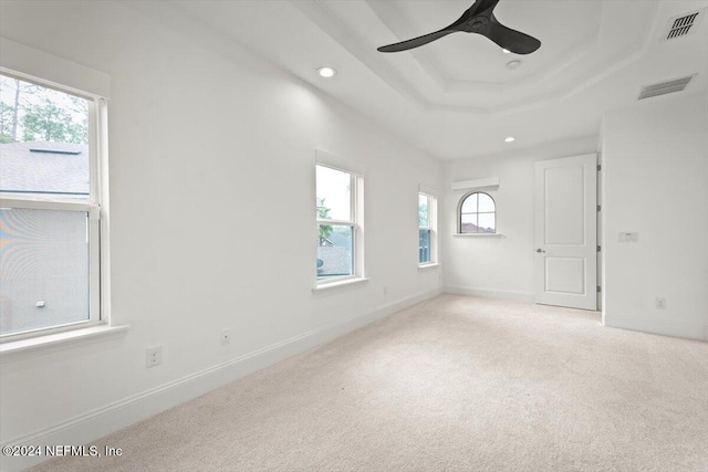 spare room with a wealth of natural light, light carpet, a tray ceiling, and ceiling fan