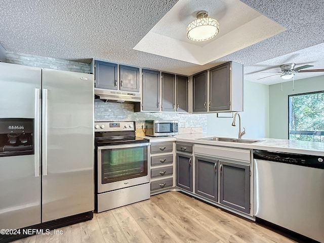 kitchen featuring sink, light hardwood / wood-style flooring, stainless steel appliances, and a tray ceiling