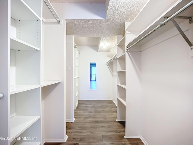 walk in closet with dark hardwood / wood-style floors