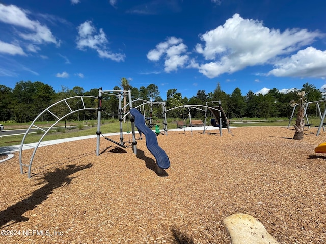 view of jungle gym