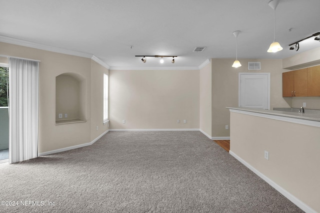 carpeted empty room with ornamental molding and rail lighting