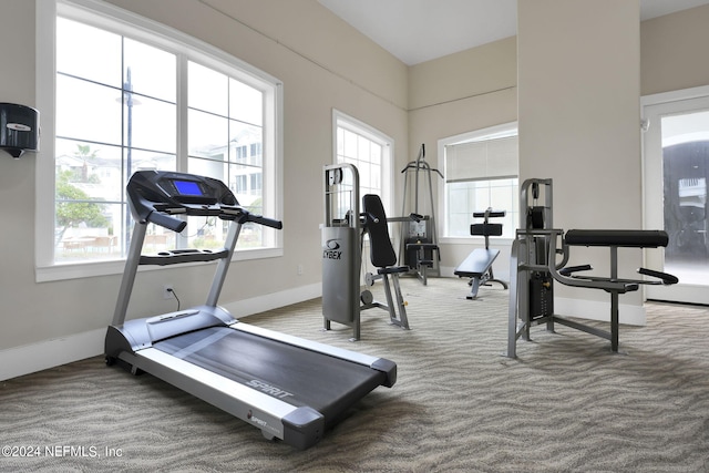 exercise room with carpet floors