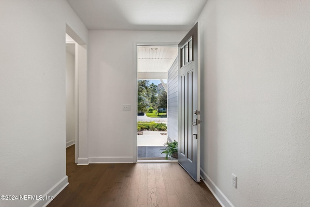 entryway with dark hardwood / wood-style floors