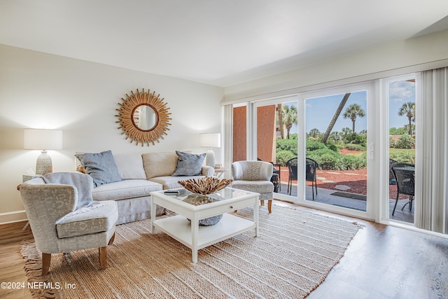 living room with hardwood / wood-style floors