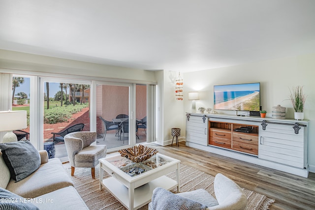 living room featuring hardwood / wood-style floors