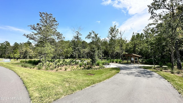 308 Palomar Dr, Saint Johns, FL 32259 - view of street