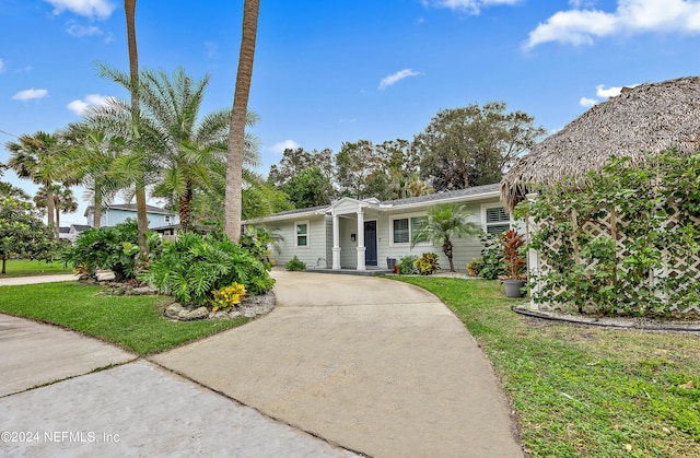 ranch-style house featuring a front yard