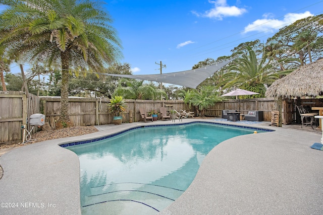 view of swimming pool featuring a patio area