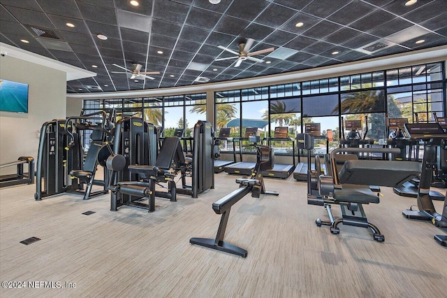 exercise room with ceiling fan, carpet, and a drop ceiling