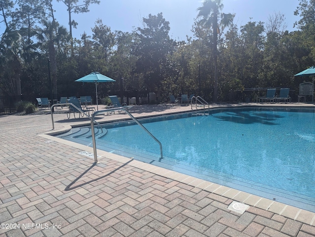 view of pool featuring a patio area