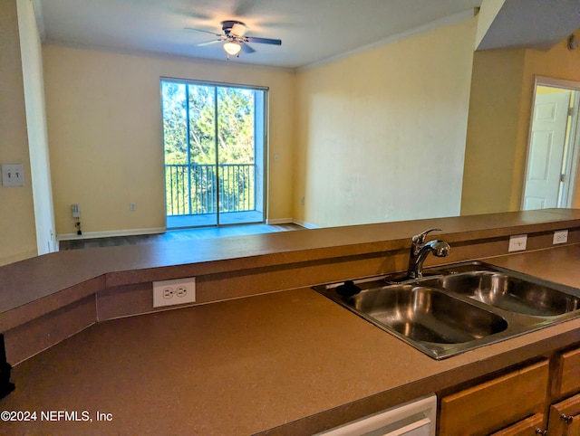 kitchen featuring ceiling fan and sink