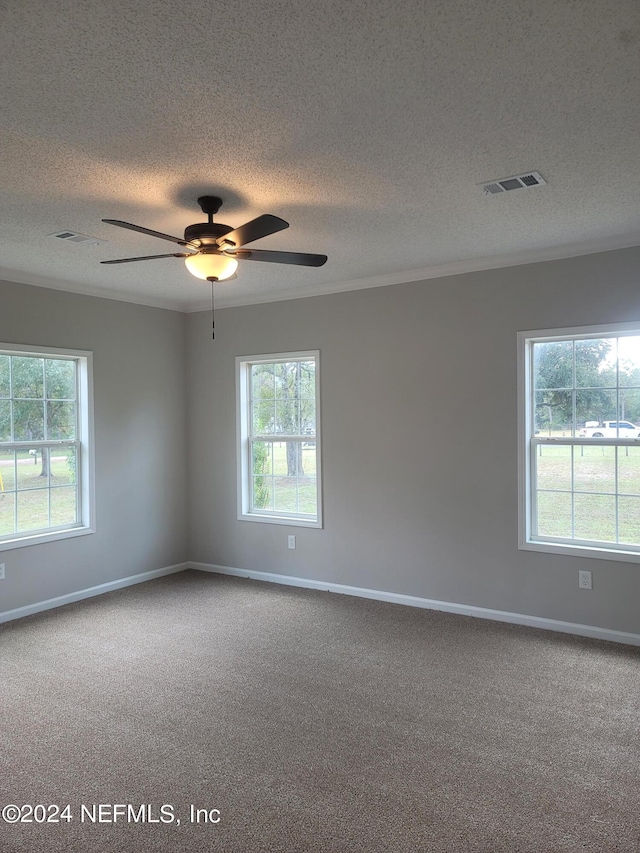 carpeted spare room featuring ceiling fan, a textured ceiling, and a wealth of natural light