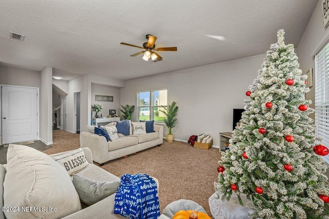 3557 Grayson Ln, Middleburg, FL 32068 - photo 8