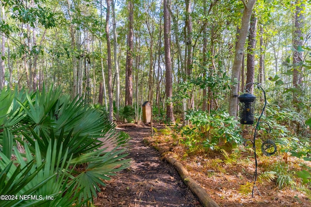 view of local wilderness