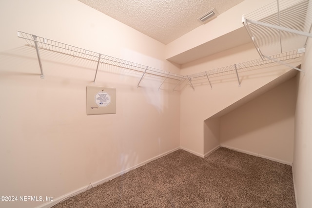 spacious closet with carpet floors