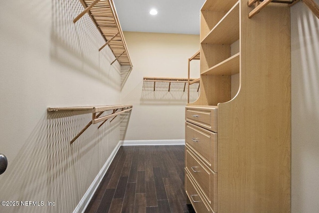 walk in closet featuring dark hardwood / wood-style floors