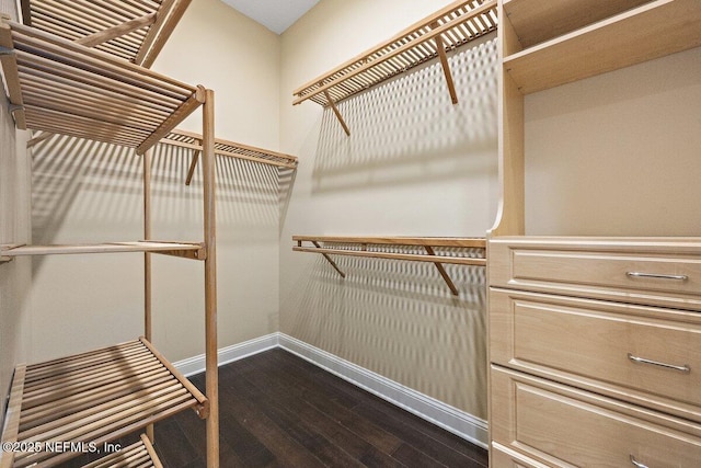 walk in closet featuring hardwood / wood-style floors